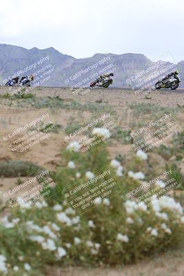 media/Apr-05-2024-Apex Assassins-CVMA Friday Practice (Fri) [[ee2ef04f2b]]/3-Racer 2/Session 4 (Turn 9 Flowers)/